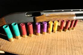 Shotgun Shells Explained The New Shooters Dictionary