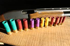 shotgun shells explained the new shooters dictionary