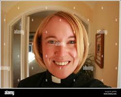 What does a robin look like hi-res stock photography and images