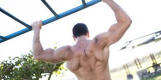 Find out which muscles are good for endurance activities and which ones are for rapid movements. The Best At Home Back Workouts For Health And Muscle Growth
