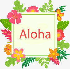 Hawaiian Flower Decoration Box Png And Vector Hawaiian Flowers Flower Decorations Flowers