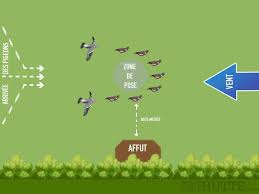 5 Techniques D Attelage Pour Chasser Le Pigeon Le Blog Toutpourlahutte Pigeon Chasser Technique