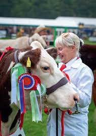 Live the Dales Issue 6 Summer 2025 by Live_Magazines - Issuu