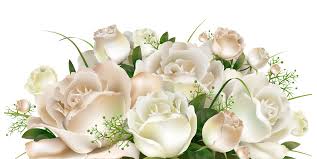 White Roses Decoration Png Clipart Picture Gallery Yopriceville High Quality Images And Transparent Hd Flower Wallpaper Flower Clipart Flower Art Painting
