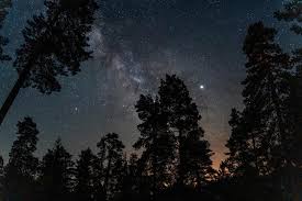 Cependant, retrouvez une idée de film jeune public à voir à la maison, suivie d'une petite activité, chaque mercredi à 14h30 dans le cadre des toiles filantes, les séances sont suivies d'une animation sur le thème des oiseaux. Carte Nuits Des Etoiles La Liste Des Animations Dans L Aisne La Marne Et Les Ardennes