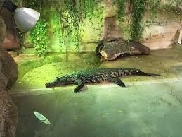 The jardin des plantes is not just a pretty garden. Menagerie Du Jardin Des Plantes Picture Of Menagerie Le Zoo Du Jardin Des Plantes Paris Tripadvisor
