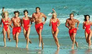 Forever and always, david hasselhoff will be a part of baywatch. Baywatch Trivia 39 Interesting Facts About The Tv Series Useless Daily Facts Trivia News Oddities Jokes And More