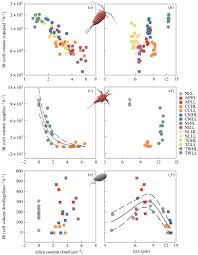 Maybe you would like to learn more about one of these? Silicified Cell Walls As A Defensive Trait In Diatoms Proceedings Of The Royal Society B Biological Sciences