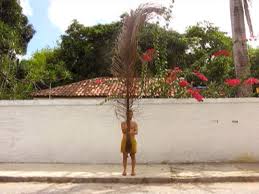 Bildergebnis für Cristiano Lenhardt