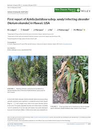 Image result for xylella fastidiosa oleander symptoms