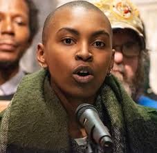 Will the 2023 municipal election push the Chicago Aldermanic Black Caucus  further left? • The TRiiBE