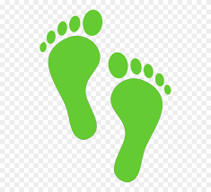 Download Bunny Footprints Cliparts 7 Buy Clip Art Foot Print Clipart Png Download 1368279 Pinclipart