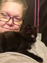 Hi all! I'm Marla. I just wanted to introduce myself and share a photo I  took of my late beautiful Mason, AKA Moo Moo. I live in Michigan USA (the  Great Lakes