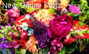 Maybe you would like to learn more about one of these? Ace S Flowers 831 688 Aces 2237 Santa Cruz California Florist 28 Years Award Winning Floral Designs Specializing In Local Sustainably Grown Organic Flowers