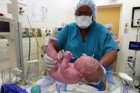 Hello World Dashyl Berk