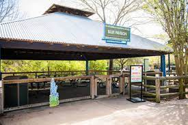 Ensure your child's party is a memory they will treasure for a lifetime. Kids Birthday Parties The Houston Zoo