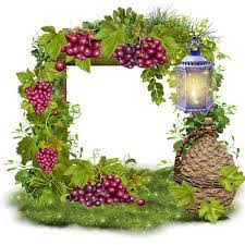 Image Du Blog Zezete2 Centerblog Net Green Grapes Grapes Pine Cone Crafts