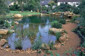 Garten Mit Schwimmteich Schwimmteich Hinterhof Pool Landschaftsbau Gartenpools