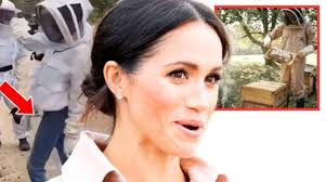 Meghan Markle's Netflix Beekeeping Scene Slammed as 'Fake' by Real  Beekeeper Megan Markle had exhausted every possible avenue for  self-promotion, she pulls another stunt so absurd it feels like it belongs  in