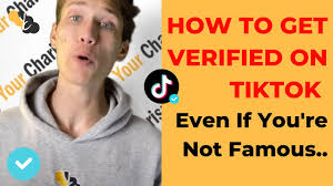 In order to get approved through the tiktok verification process, you need to be a popular creator, influencer, or celebrity. How To Get Verified On Tiktok Even If Your Not Famous Youtube