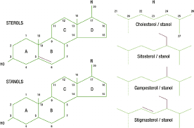 Check spelling or type a new query. Chemical Structure Of Plant Stanols And Plant Sterols Download Scientific Diagram