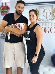 Puppies miami is going to solve your each and every problem and give u best solution. Puppies To Go 73 Photos 42 Reviews Pet Stores 7335 Sw 8th St Miami Fl United States Phone Number Yelp