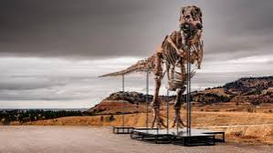 Extinction - BBC News