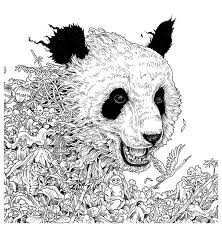 Tiere, blumen, zitate und sogar ganze abstrakte bilder zum ausmalen, die kleine details enthalten, haben die gleiche wirkung und machen genauso viel spaß. Mandalas Zum Ausmalen Fur Kinder Winter Novocom Top