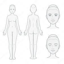 Legs realistic beauty woman legs body parts clean vector. Female Body And Face Chart Front And Back View With Head Close Up Blank Woman Body Template For Medical Infographic Isolated Vector Illustration Premium Vector In Adobe Illustrator Ai Ai