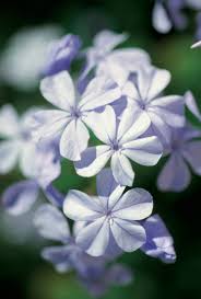 Bennett, age 87, of lynn, ma and fort myers, fl, died unexpectedly on saturday, march 27, 2021 at salem hospital. Catherine Rogers Obituary Lynn Ma
