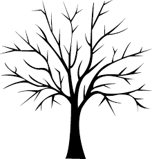 Arbre1 Jpg 1153 1204 Coloriage Arbre Feuille Arbre Dessin Arbre