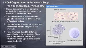 The sun is the primary source of heat energy. Form 1 Tingkatan 1 Science Pt3 Chapter 02 Cell As A Unit Of Life Youtube