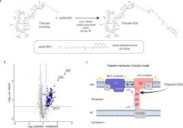 We did not find results for: Light Mediated Discovery Of Surfaceome Nanoscale Organization And Intercellular Receptor Interaction Networks Biorxiv