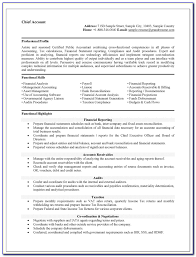 A cv may also include professional references. Curriculum Vitae Samples For Accountants Vincegray2014