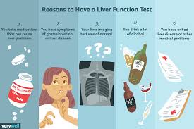 Liver Function Tests Uses Side Effects Procedure Results