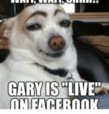 Facebook Live Memes