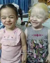 Abdullah Alsaggaf (@Abdullah_saggaf)