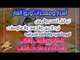 معجزات ورق الغار لعلاج السحر والمس والحسد وتطويل الشعر ولحب الشباب Youtube