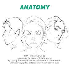 Face Construction Tutorial By Rashedjrs Click The Source Link To View The Full Pdf Tutorial Tutorial Neck Drawing How To Draw Hands