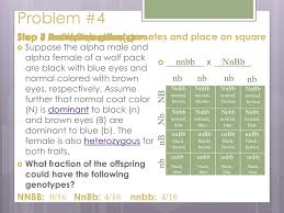 Allow students to work in pairs to help each other to complete guided practice #3. Ppt How To Make A Punnett Square Powerpoint Presentation Free Download Id 4448102