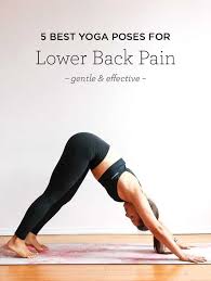 Cat cow pose is a fusion of two complementary movements, i.e. 5 Yoga Poses For Lower Back Pain Simply Quinoa
