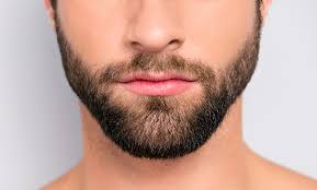 Once the surgeon removes the hair follicles from the donor area, he implants them back into the skin of the beard area so they can harvest and create new growth. Can Beard Hair Transplant Look Natural V Plant Advanced Hair Care Clinics