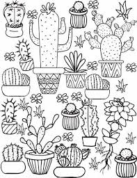 Planta de arroz dibujo para colorear. Dibujos De Todo Tipo De Cactus Para Colorear Pintar E Imprimir Dibujosonline Net