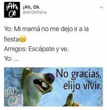 No Gracias Quiero Vivir Meme Amino