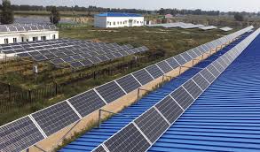 I have 30 of em on my roof and they will offset 3.5 1000w lights on a 12/12. Energy And Food Together Under Solar Panels Crops Thrive The World From Prx