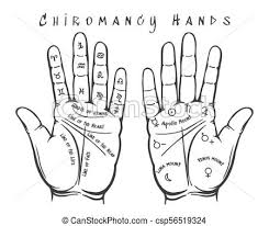 Chiromancy Hands Illustration