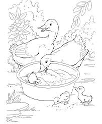 Farm Animal Coloring Page Ducks Eating Grain Farm Animal Coloring Pages Animal Coloring Pages Coloring Pages