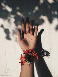 Aboutaesthetically photography is passion love us…we will try to entertain you all. Photo Diary Metanoia Tumblr Photography Instagram Aesthetic Flower Aesthetic