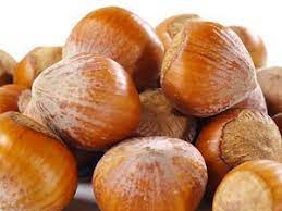 Hazelnuts Filberts In Shell Hazelnuts Filberts Nuts Com Hazelnut Filbert Nut Antioxidant Benefit