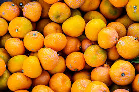 Image result for Citrus reticulata